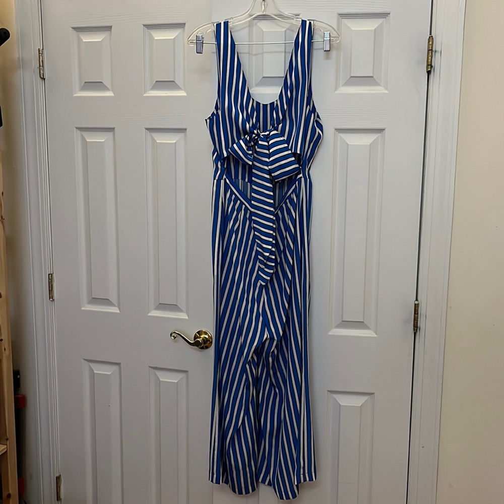Blue and white stripe silk jumpsuit